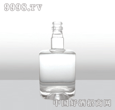 ZH-131߰ײƿ500ml